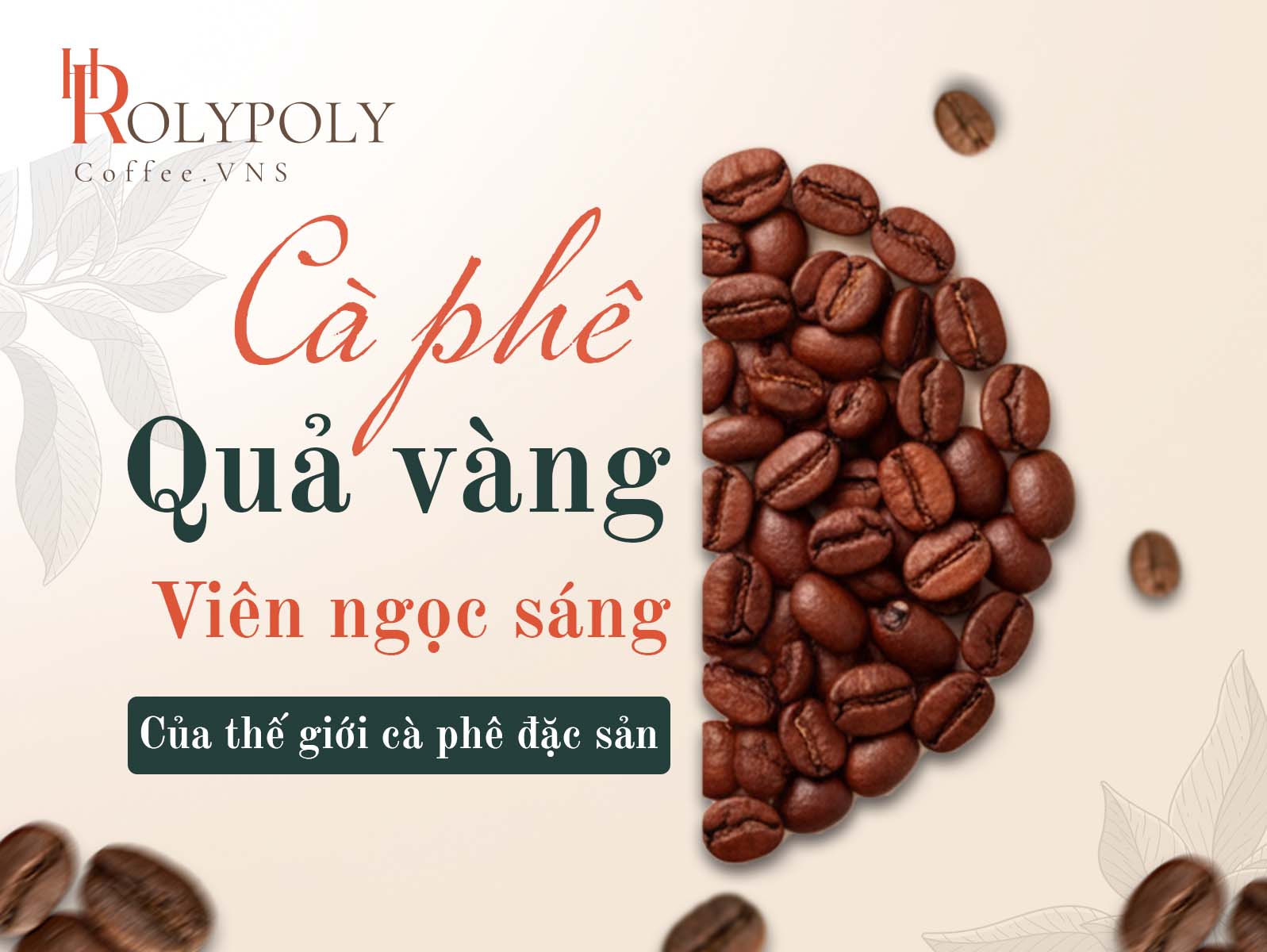 Cà phê quả vàng viên ngọc sáng của thế giới cà phê đặc sản