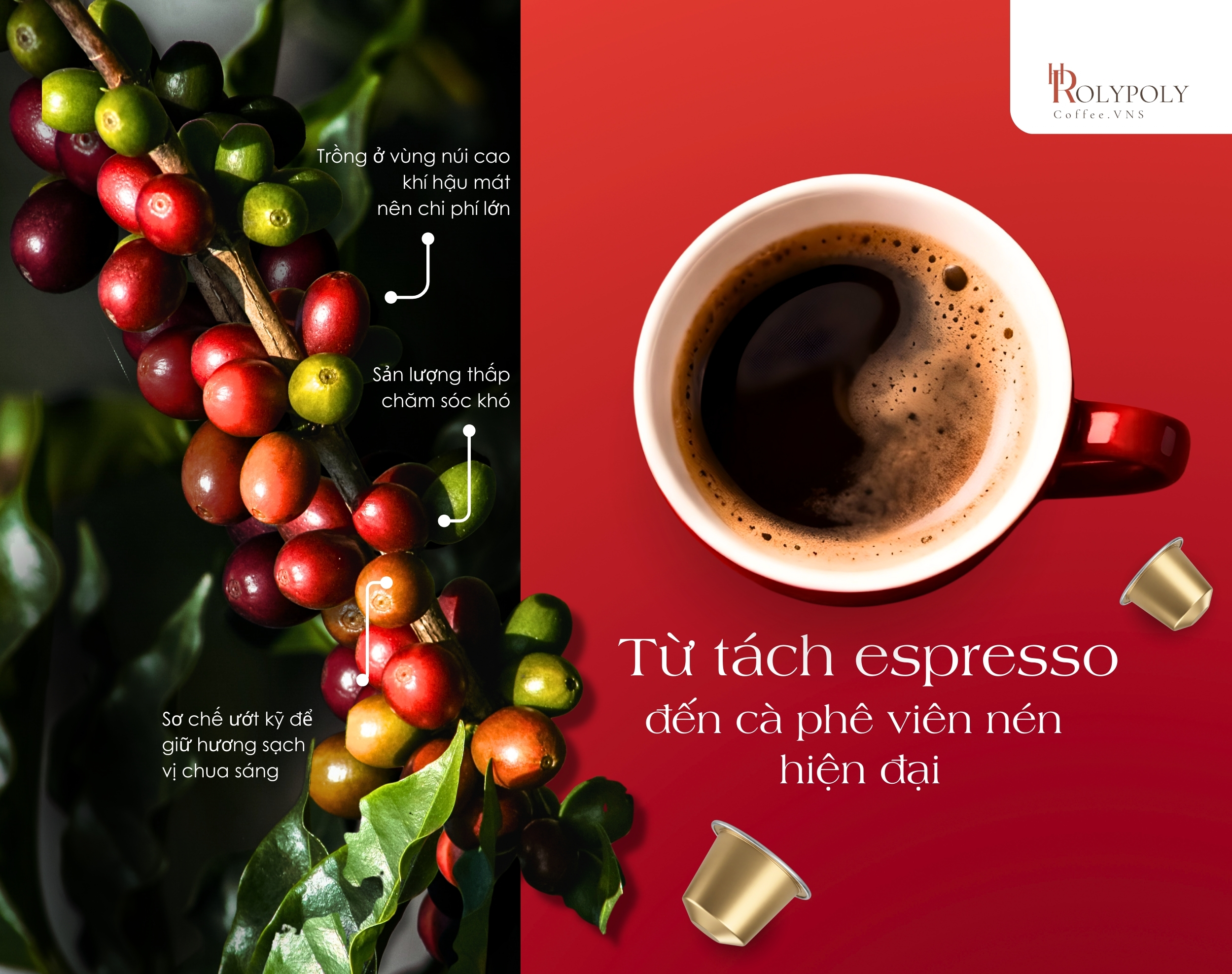 Từ tách espresso đến cà phê viên nén hiện đại